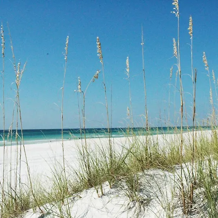 Top Of The Gulf 625 'Beach Perfect'